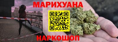 индика Лесосибирск