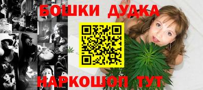 индика Лесосибирск