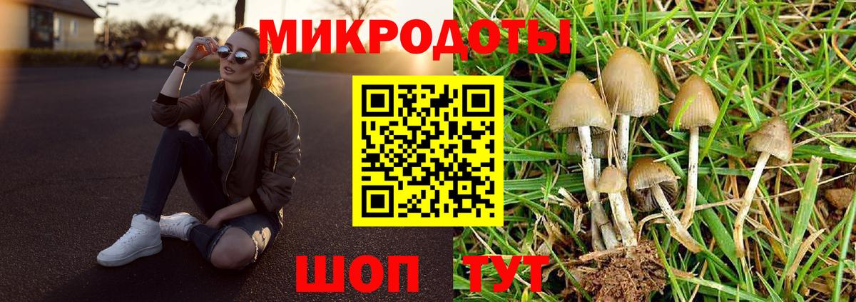 Казань  Галлюциногенные грибы мухоморы  Вход с VPN 