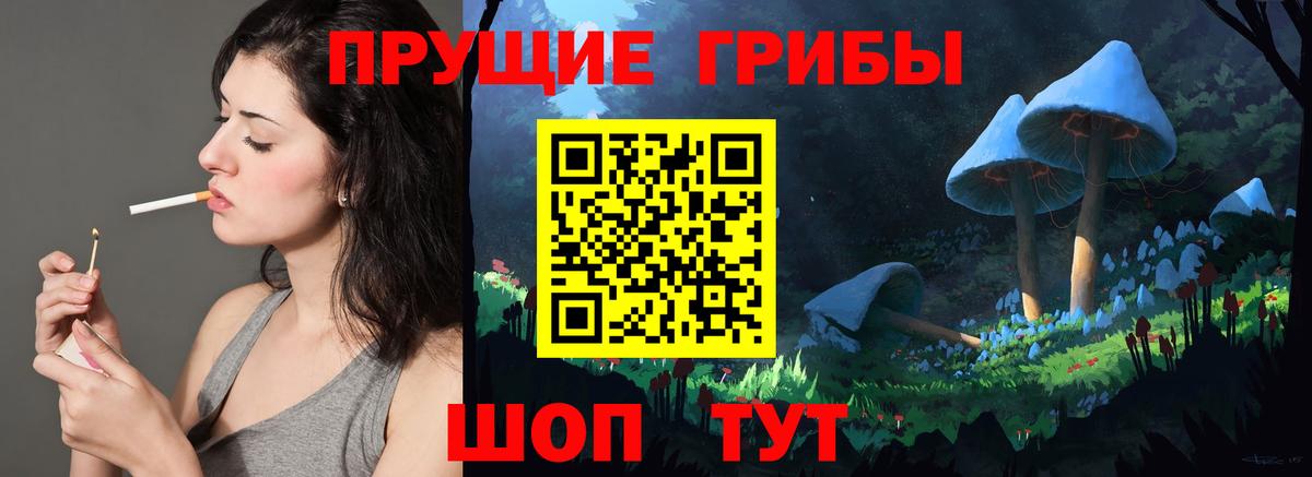 Галлюциногенные грибы Psilocybe Казань